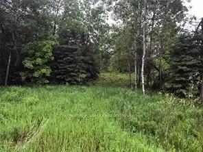 15572 Highway 17, Whitewater Region, ON K0J 1Y0