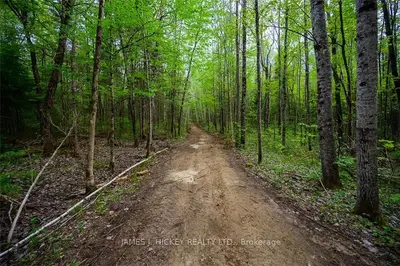 00 PT LT 51 RANGE A - MOORE LAKE Road, Laurentian Hills, ON K7S 3G7
