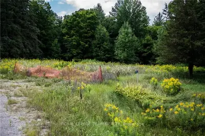 25251 HIGHWAY 41, Greater Madawaska, ON K0J 2R0