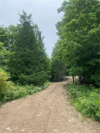 0 Matawatchen Road, Addington Highlands, On K0h 1l0