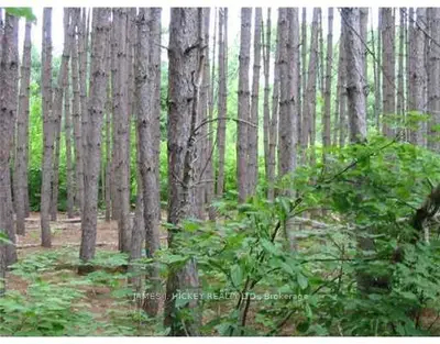 LT 13 14 C 14 WYLIE, Laurentian Hills, ON K0J 1J0