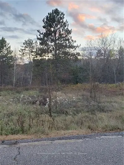 0 ZILNEY Street, Madawaska Valley, ON K0J 1B0