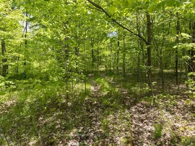 Pt 1 MORAN Road, Rideau Lakes, ON K0G 1L0