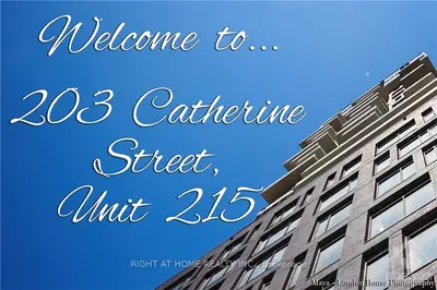 203 CATHERINE Street 215, Ottawa Centre, ON K2P 1J5