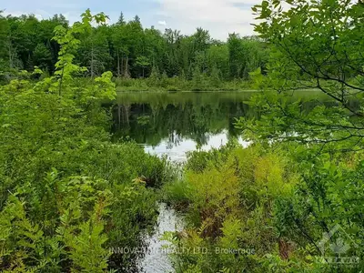 538 OMAGAKI Trail, Laurentian Valley, ON K8A 6W5