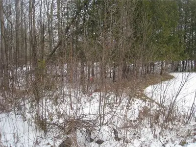 1007 TOWNLINE Road, North Grenville, ON K0G 1J0