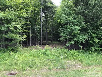 215 CLAYTON LAKE Road, Mississippi Mills, ON K0A 1P0