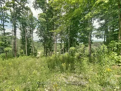 5123 OPEONGO Road W, Bonnechere Valley, ON K0J 1T0