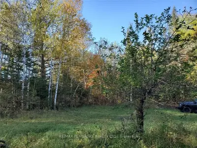 1349 Fourth Chute Road, Bonnechere Valley, ON K0J 1T0