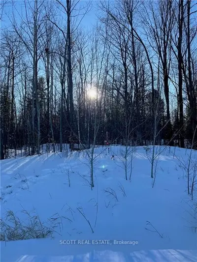 Lot 39 MALLARD Street, Laurentian Valley, ON K8A 8N9