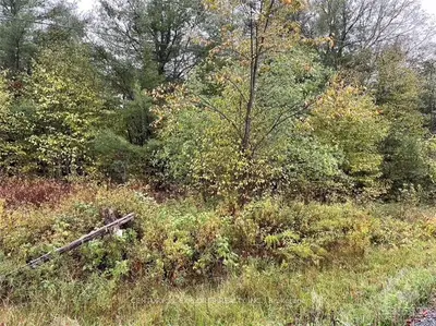 000 NORWOOD LOT B Road, Rideau Lakes, ON K0G 1X0