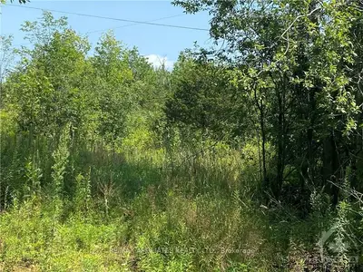 Lot 1 GRADY Road, Rideau Lakes, ON K0G 1X0