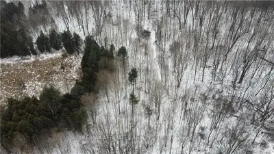 4785A BRITON HOUGHTON BAY Road, Rideau Lakes, ON K0G 1V0