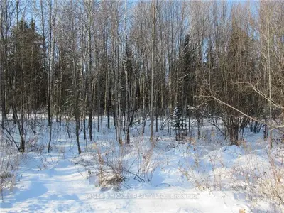 PT 1 Pt Lts 3&4,Con 15 GLEASON Lane, Laurentian Hills, ON K0J 1P0