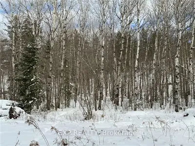 Lot 38 YANTHA Crescent, Madawaska Valley, ON K0J 1B0