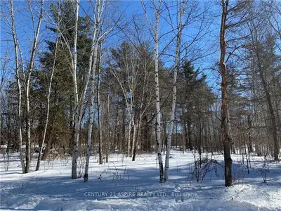 121 PHEASANT, Greater Madawaska, ON K0J 1H0