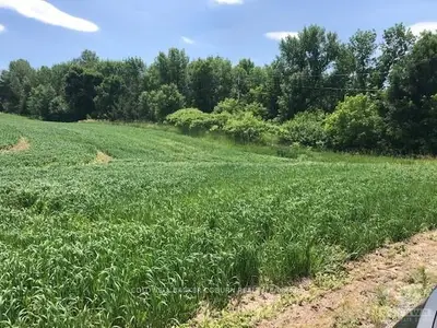0 CEDAR HAVEN Road, Whitewater Region, ON K0J 1K0