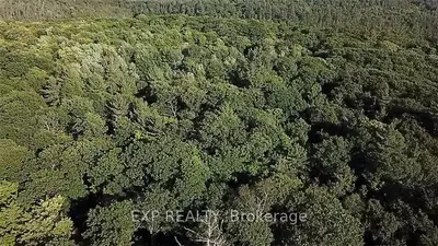 470 A JOHN WATSON Road, Madawaska Valley, ON K0J 2N0