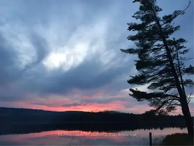 21 RORY'S BAY Lane, Madawaska Valley, ON K0J 2J0