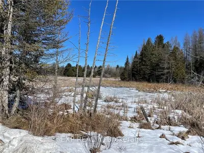 00 CONCESSION RD 4B DALHOUSIE Road, Lanark Highlands, ON K0G 1K0
