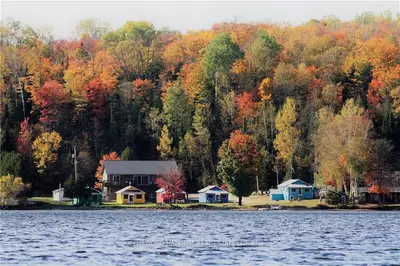 1799 NORTH BAPTISTE LAKE Road, Hastings Highlands, ON K0L 2S0