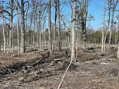 2557 9TH LINE Road, Greely - Metcalfe - Osgoode - Vernon and Area, ON K0A 2P0