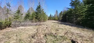14308 C HIGHWAY 60, Killaloe, Hagarty and Richards, ON K0J 2A0