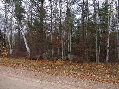 0 LOGGERS Road, Head, Clara and Maria, ON K0J 2K0