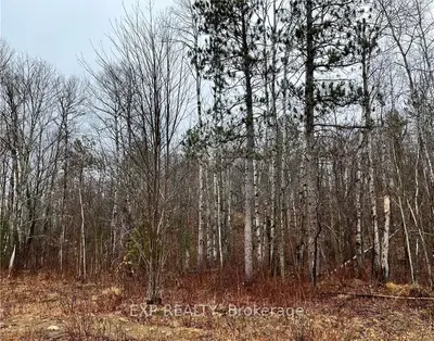 Lot 40 YANTHA Crescent, Madawaska Valley, ON K0J 1B0