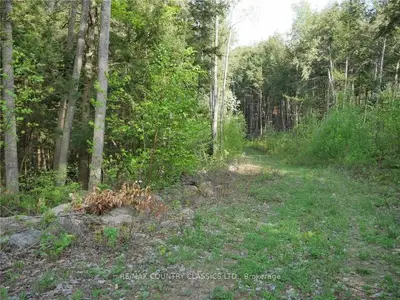 PL2728-1 YAKABUSKI Road, Madawaska Valley, ON K0J 1B0