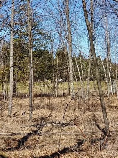 2 MORNING FLIGHT Court, Greater Madawaska, ON K0J 1H0