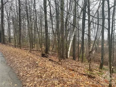 52 VIRGIN LAKE Lane, Greater Madawaska, ON K0J 1H0