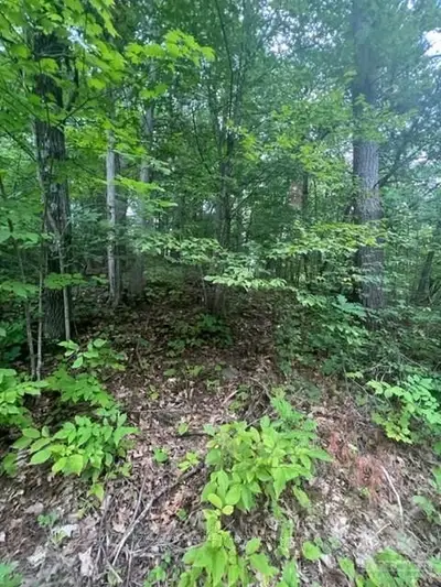 146 Timber Lane, Carp - Dunrobin - Huntley - Fitzroy And Area, On K0a 1x0