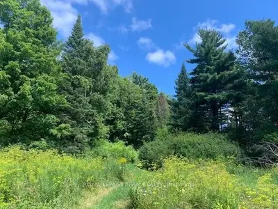 0 MOUNT ST PATRICK Road, Greater Madawaska, ON K7V 3Z7