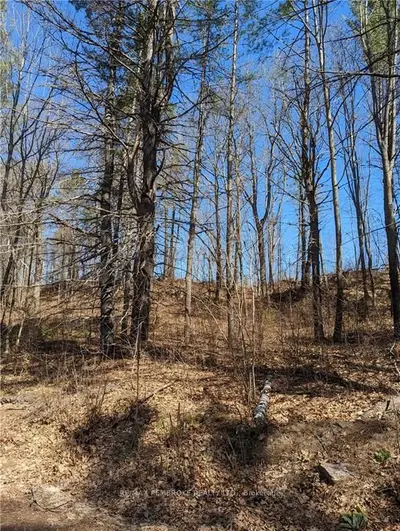 LT C FORESTRY ROAD Road, Laurentian Hills, ON K0J 1J0