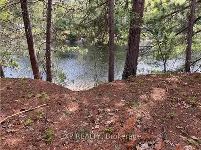 Lot 31 SANDY SHORES Trail, Madawaska Valley, ON K0J 1B0