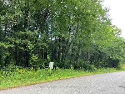 PT LT 6 DAFOE Road, Madawaska Valley, ON K0J 1L0