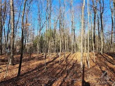 000 Lakeshore Road, Lanark Highlands, On K0g 1k0