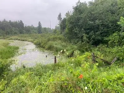 Pt 1 OTTER LAKE Road, Rideau Lakes, ON K0G 1L0