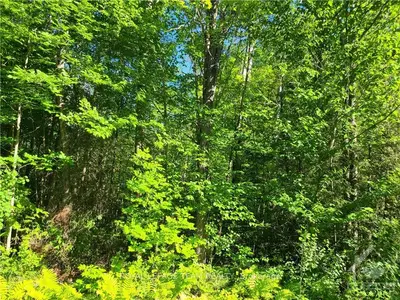 7218 Copeland Road, Stittsville - Munster - Richmond, On K0a 1b0