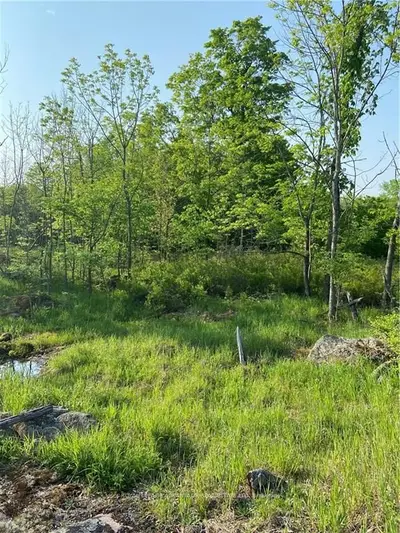 0 MERKLEY Road, Tay Valley, ON K0G 1V0