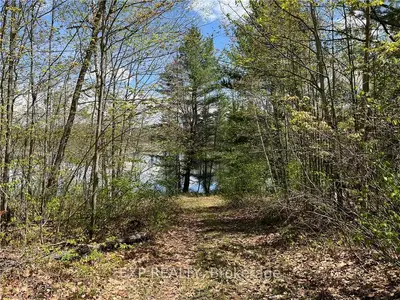 Lot 16 Sandy Shores Trail, Madawaska Valley, On K0j 1b0