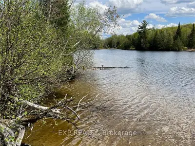 Lot 42 SANDY SHORES Trail, Madawaska Valley, ON K0J 1B0