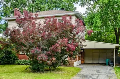 809 Quinlan Road, Elmvale Acres And Area, On K1g 1r8
