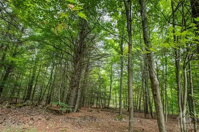 195 Bush Road, Rideau Lakes, On K0g 1e0