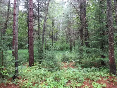 Pt Lt 35 Range A Rolph Meilleurs Road, Laurentian Hills, On K0j 1j0