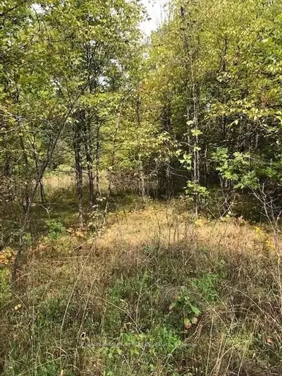 0000 Kelly Road, Rideau Lakes, On K0g 1x0
