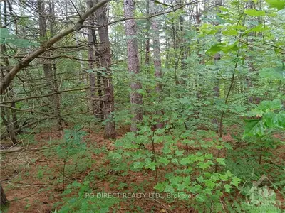 0 PART LOT 21 CONCESSION 3 LOT 5 Road, Petawawa, ON K8A 6W7