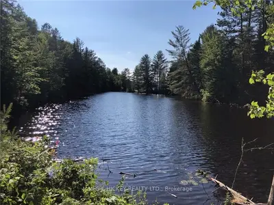 Pt Lt 1 Con A Head Twp. Colton Creek Road, Laurentian Hills, On K0j 1e0