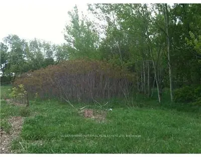 0 Minto Street, Whitewater Region, On K0j 1c0